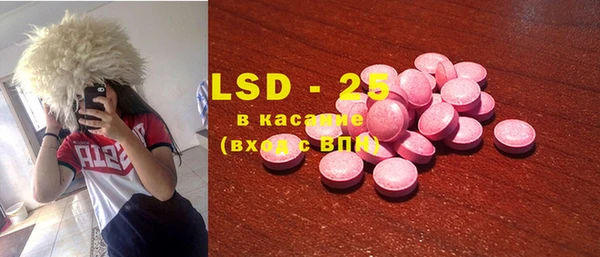 сатива Надым