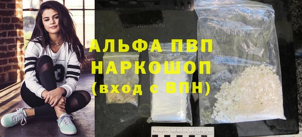 сатива Надым
