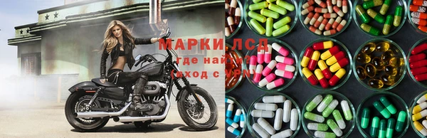 сатива Надым