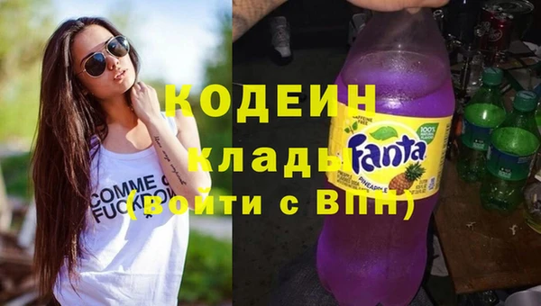 сатива Надым