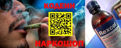 стафф Дубна