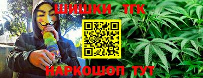 стафф Дубна