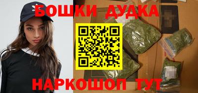 стафф Дубна