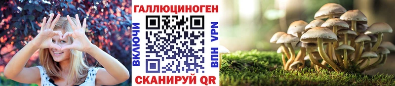 Псилоцибиновые грибы Magic Shrooms  Невинномысск 